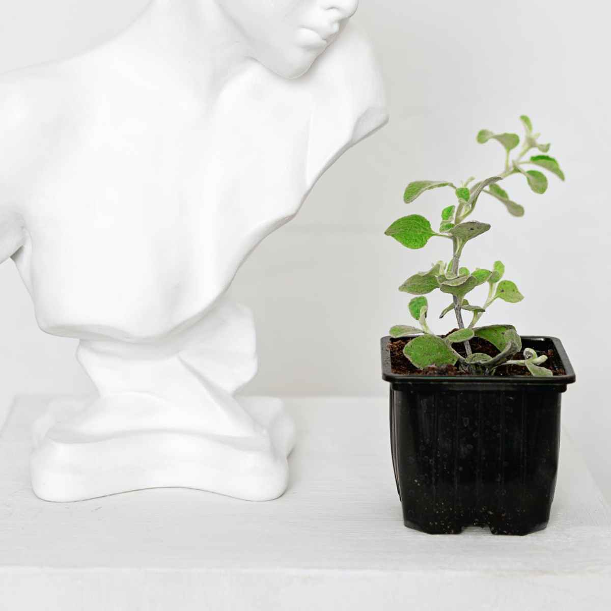 Is perfectionism costing you money?